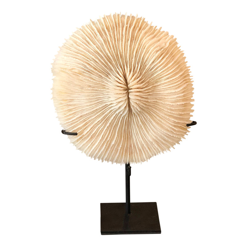 Chanchal Landscape & Nature Figurines & Sculptures