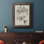 Toile encadrée de qualité supérieure antique noire et blanche botanique VI - prête à être accrochée-73980726