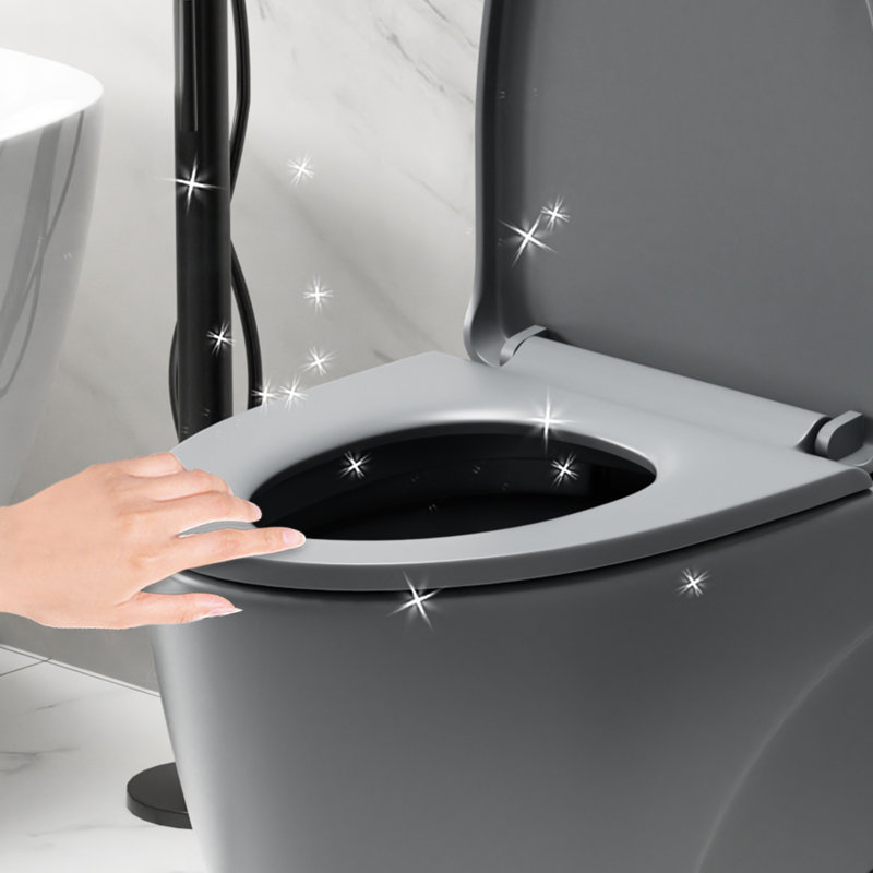 Une toilette avec double chasse d'eau 001. Siège à fermeture en douceur 1,1 / 1,6. Eau, bol allongé. Hauteur, en céramique grise Chasse, hauteur. Pour la catégorisation