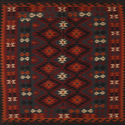 Southwestern Indoor Rug