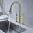 Demana Pull Down Kitchen Faucet-63926198