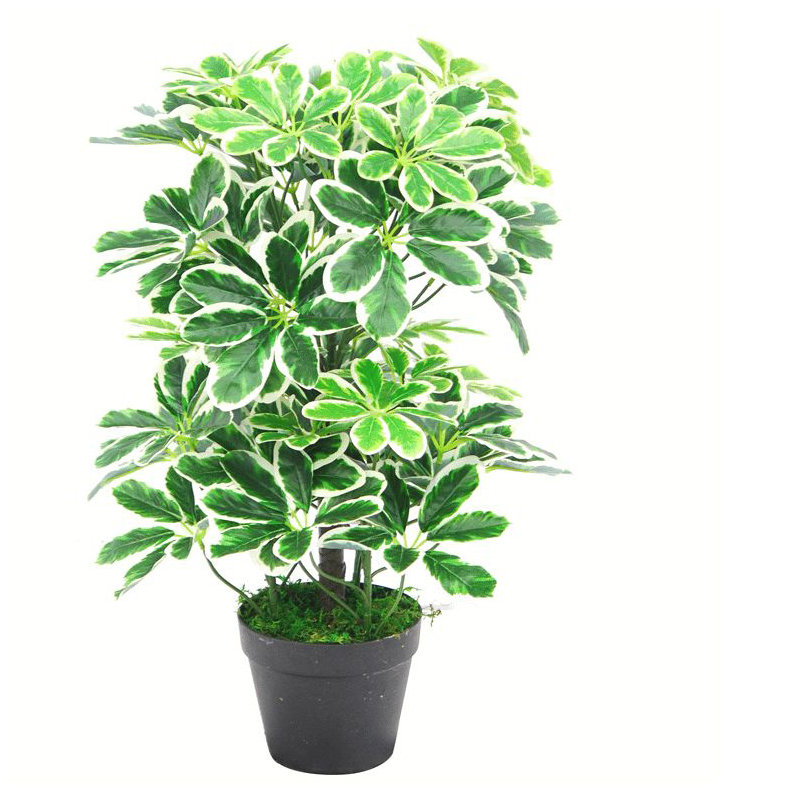 Anjeli 55cm Faux Foliage Plant in Pot