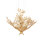 Huckleberry 8 - Light Chandelier