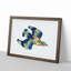 Indian Roller Bird by George Shaw - Framed Print-55641623-55641626
