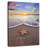 Brampt Fort Lauderdale Beach Starfish-106965291