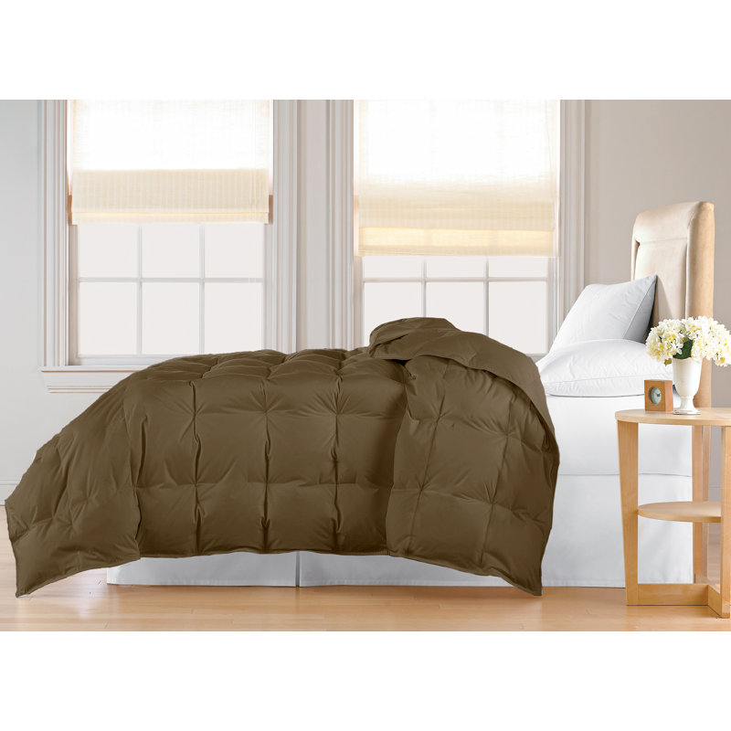 Comforter