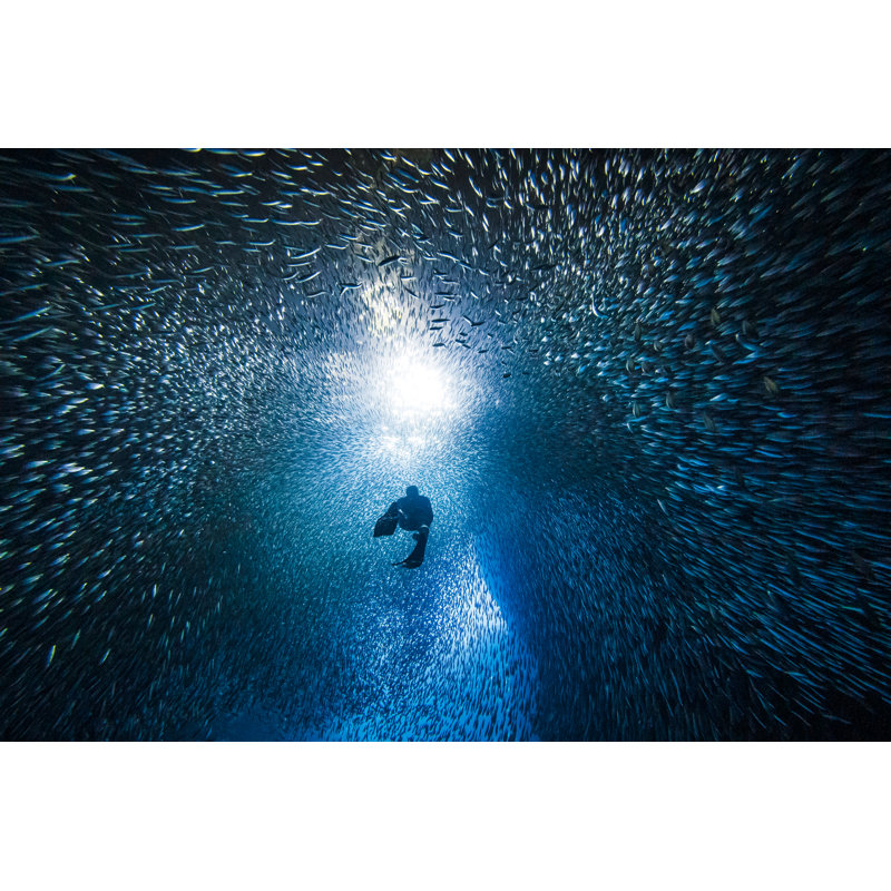 Silhouetted Free Diver Swimming by Philip Thurston - No Frame Print on Canvas, 51cm H x 76cm W