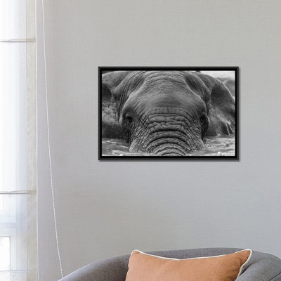 " Elephant Partially Submerged " by Anders Jorulf
