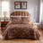 Greenland Home Fashions Audrey Chocolate 3-Piece Queen Size Quilt Set, 90x90 Inch-1963694056-1963694061