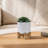 CHEVRON PLANTER W/ STAND, WHITE-1106379894