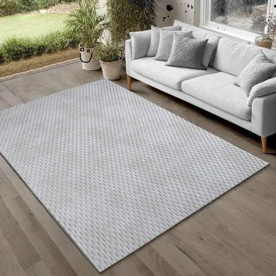 Area Rug