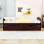 Lit plateforme simple avec tiroirs Comrie-1724863280