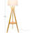 60'' Tripod Floor Lamp