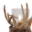 Novelty Lamp