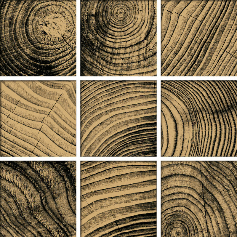 Recollect 4" W x 4" L Glass Wood Look Tile Mosaic Sheet, Chardonnay