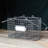 Rebrilliant Decorative Basket