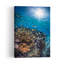 Sunlit Coral Reef Peaceful Serene Vibrant Fish Nature Ocean Wall Art Print 1 Piece Wrapped Canvas Wall Art-2129900662