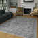 Aldolphus Oriental Indoor Rug
