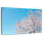 Cherry Tree-1486240326