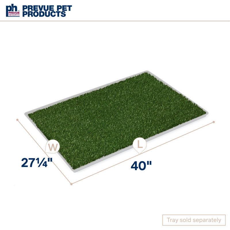 Cieanna Pet Bed, Large (0.5" H x 27.25" W x 40" D)