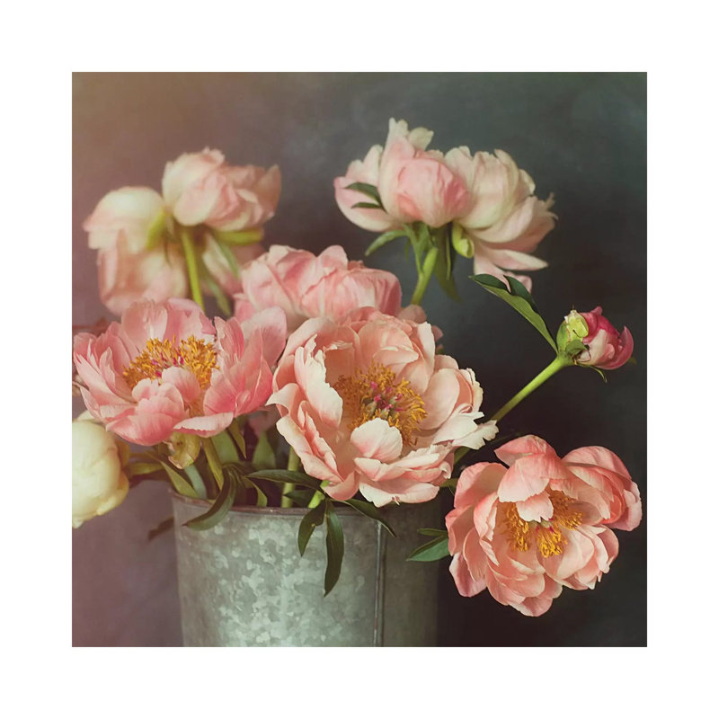 Peonies by Mandy Lynne - Wrapped Canvas Print