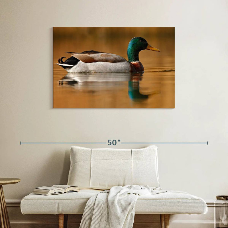 Brampt Bathing Mallard Duck, 26" H x 39" W