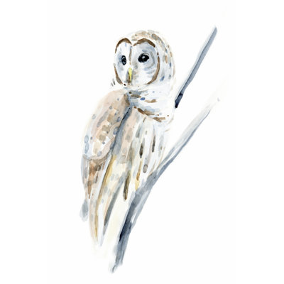 Chouette arctique I