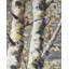 Bouleaux blancs en herbe - reproduction encadrée mat pour la décoration intérieure-1787818994-1787818997