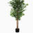 63" Artificial Ficus Tree with Black Plastic Pot