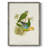Lime&CeruleanParrotsI Framed Print - Solid Wood 2768855-1025405823