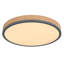 Tejal Plastic LED Flush Mount-96012067