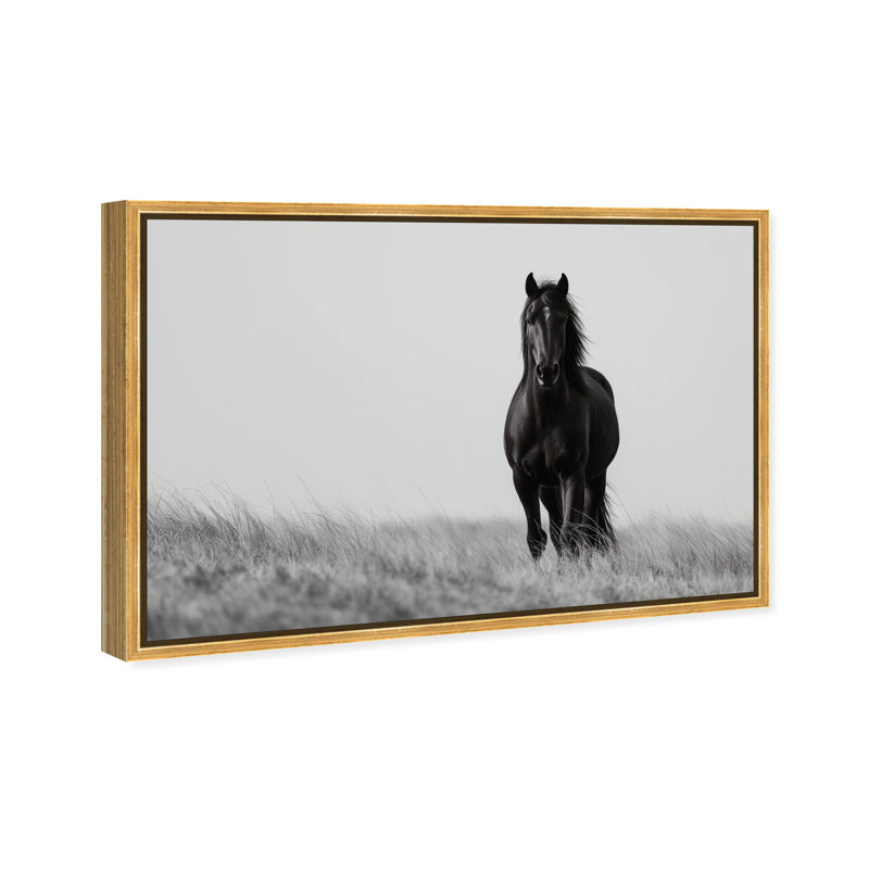 Lone Stallion I Print by Oliver Gal, 11" H x 16" W, Gold Floater Frame