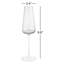 Belo Champagne Glasses Set Of 2-1095454593