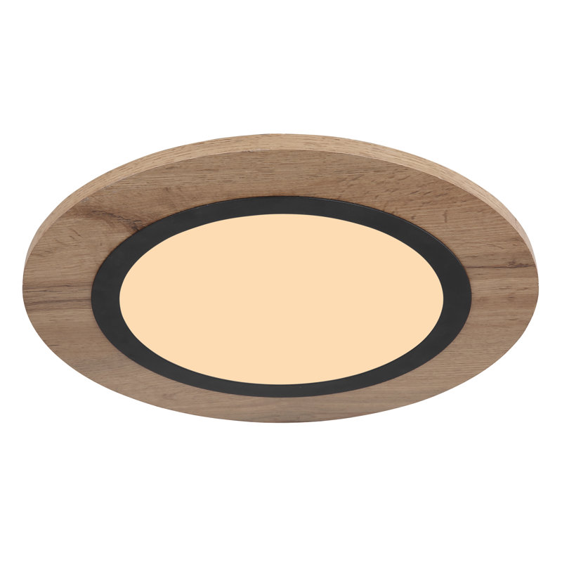 Terrin Plastic LED Flush Mount