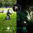 Matte Black Plug-in Integrated LED Metal Spotlight Pack