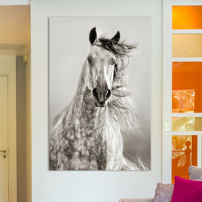 Caballo de andaluz, peinture sur toile tendue, H 12 po x l 8 po x P 0,75 po