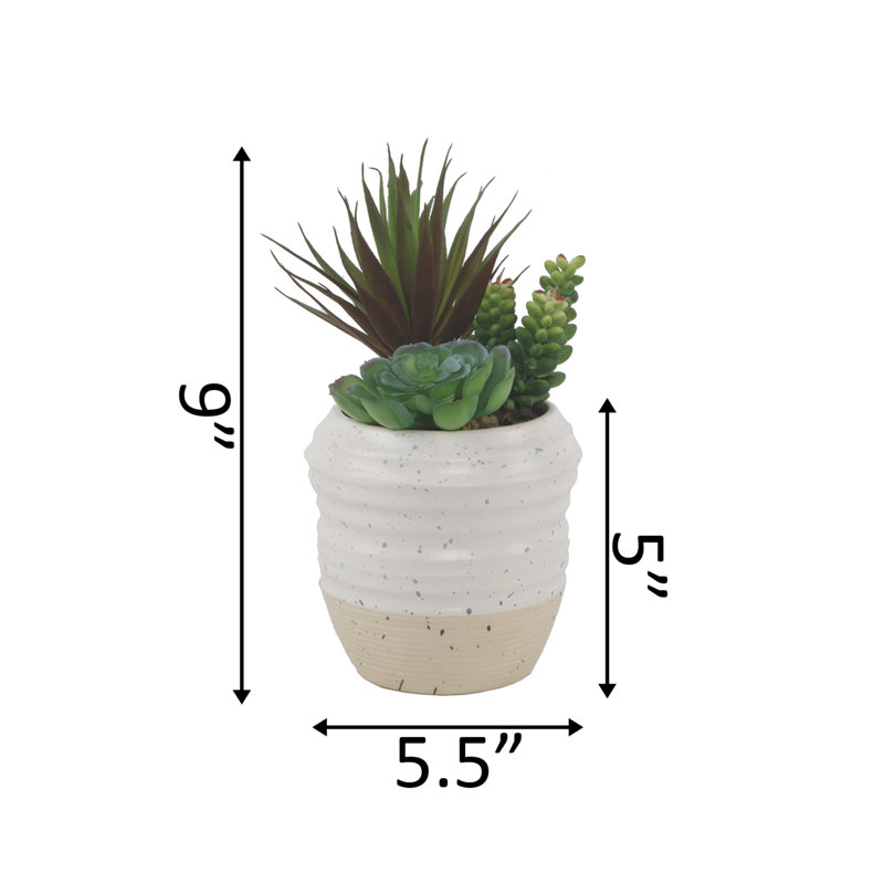 9'' Faux Succulent Plant in Ceramic Planter