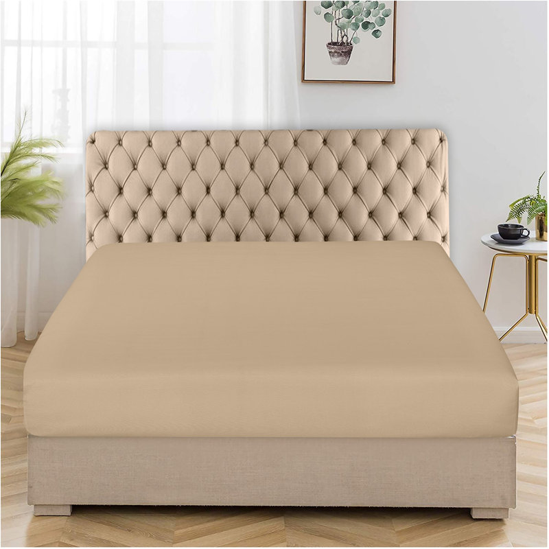 Amilda Polycotton Fitted Sheets, Beige, Kingsize (5')