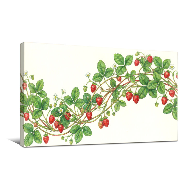Plantes et fleurs de vigne aux fraises avec feuilles et baies, H 16 po x l 32 po