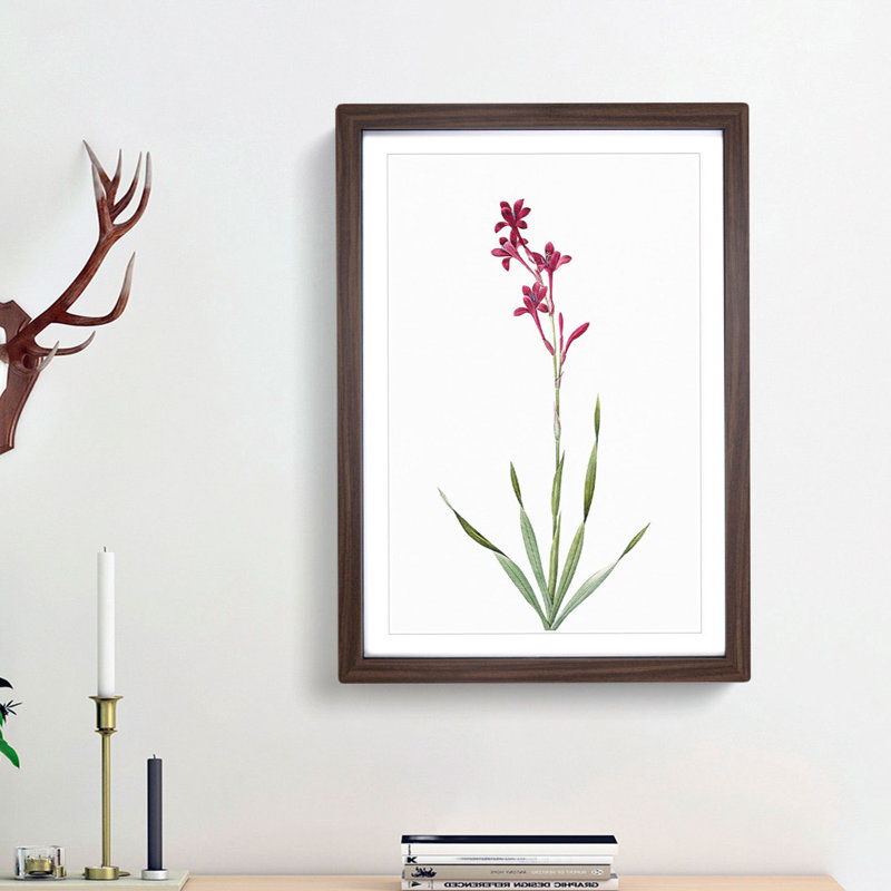 Bugle Lily in Pink by Pierre-Joseph Redoute - Picture Frame Art Print, Walnut Framed, 48cm H x 36cm W x 2cm D