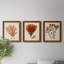 Antique Red Coral IV - Ensemble de 3 peintures sur toile encadrées-1301298115-1301298112