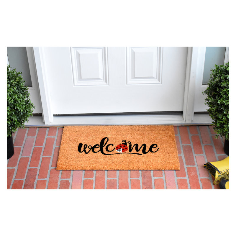 Tapis d'entrée antidérapant pour coccinelle de 29 po x 17 po Abiman Welcome