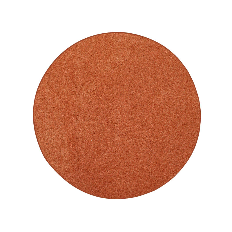 Modern Plush Pet and Kids Friendly Solid Color Area Rugs, Stain & Fade Resistance, Bedroom, Playroom and Kidsroom, Event, Wedding, Perfect for Living Room, Dining Room, Orange Mentzer Rug