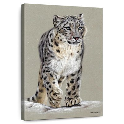 Brampt Snow Leopard II