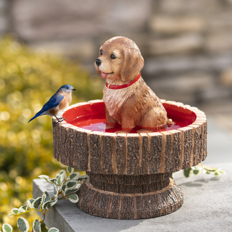 Resin Single Tier Birdbath