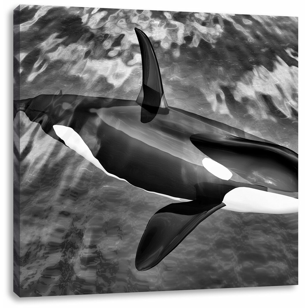 Leinwandbild Orca im blauen Meer