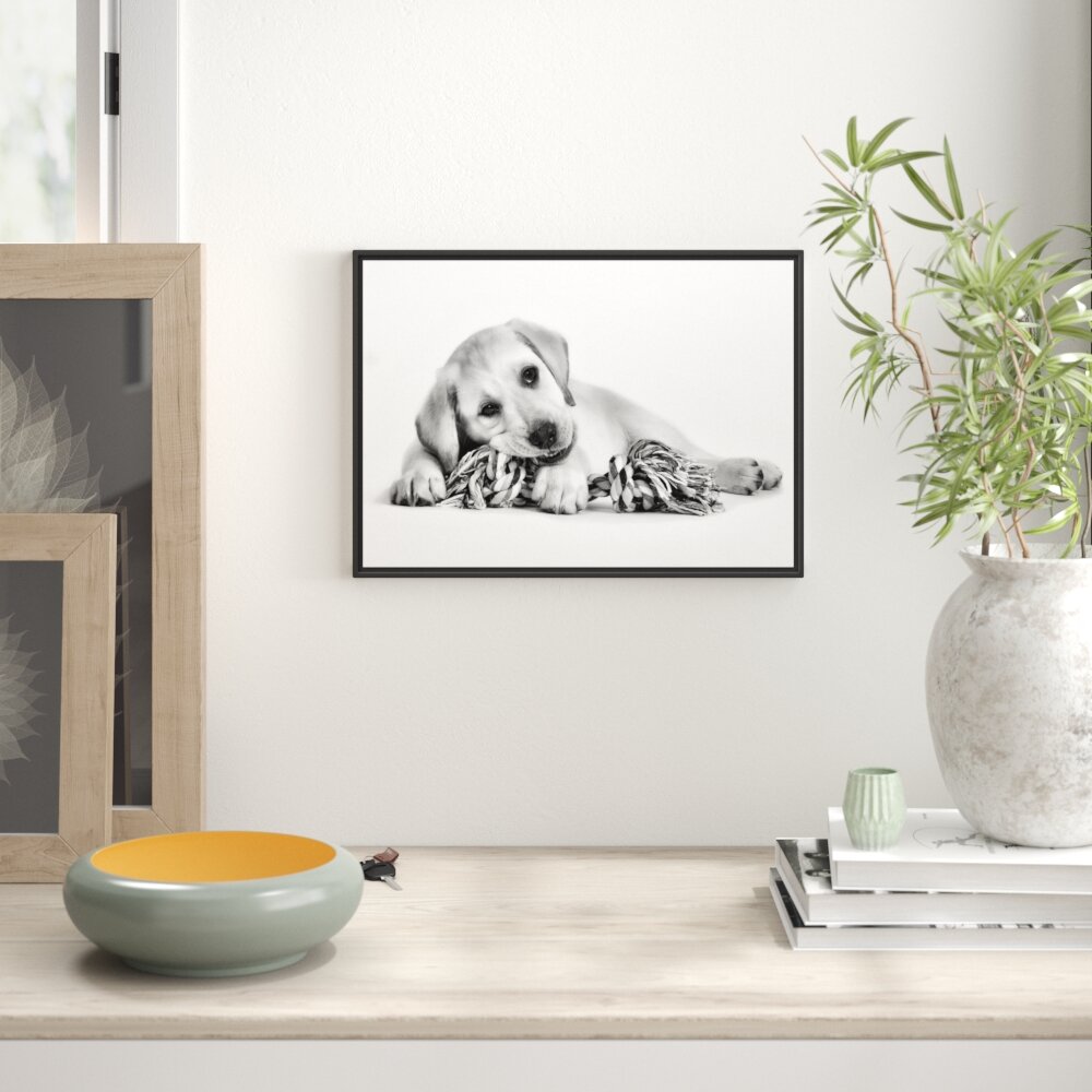 Gerahmtes Wandbild Hundewelpe