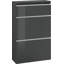 Giammaria 12 Pair Shoe Storage Cabinet-566258952