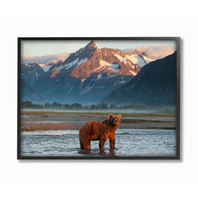 «Grizzly Bear permanent in Salmon Stream» par Paul Souders, reproduction de photo