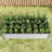 Silver Metal Raised Bed For Outdoor Gardening Of Vegetables And Cacti With Drainage Planter Bedroom Vegetable Flower Planting Fast Setup-1695304852
